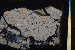 Cross Polarized, E32801