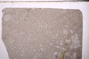 Plane Polarized, E32806