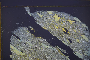 Cross Polarized, E32856