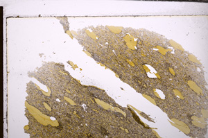 Plane Polarized, E32856