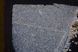 Cross Polarized, E32860