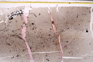 Plane Polarized, E32897