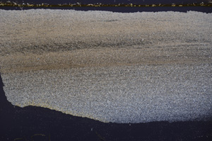 Cross Polarized, E32898