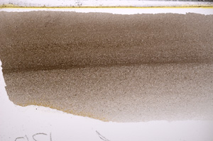 Plane Polarized, E32898
