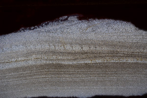 Cross Polarized, E32901