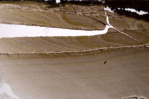 Plane Polarized, E32903