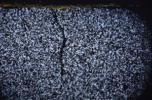 Cross Polarized, E32989