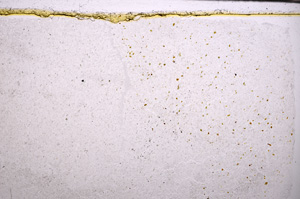 Plane Polarized, E32989