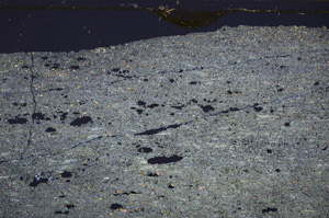 Cross Polarized, E33014