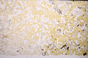 Plane Polarized, E33063