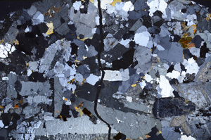 Cross Polarized, E33076