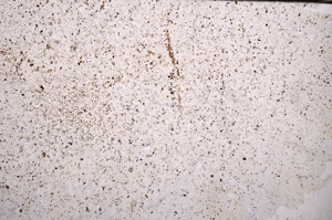 Plane Polarized, E33084