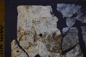 Cross Polarized, E33136