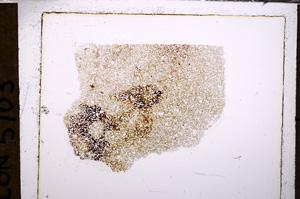 Plane Polarized, E33144