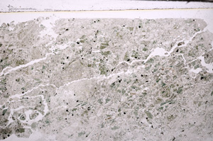 Plane Polarized, E33148