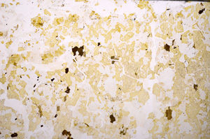 Plane Polarized, E33164