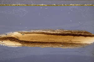 Cross Polarized, E33280