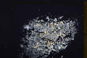 Cross Polarized, E33308