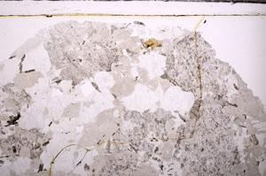 Plane Polarized, E33319