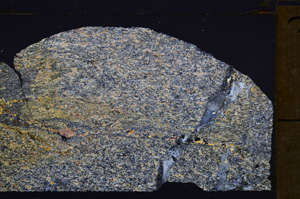 Cross Polarized, E33327