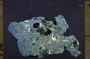 Cross Polarized, E33336