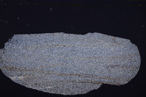 Cross Polarized, E33392