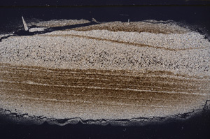 Cross Polarized, E33407