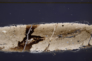 Cross Polarized, E33417