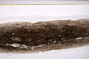 Plane Polarized, E33420