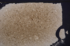 Cross Polarized, E33421