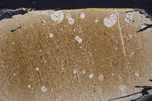 Cross Polarized, E33422