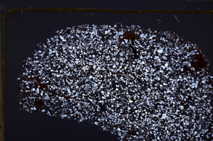 Cross Polarized, E33447