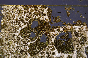 Cross Polarized, E33468