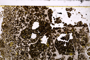 Plane Polarized, E33468