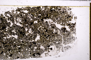 Plane Polarized, E33476