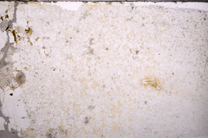 Plane Polarized, E33496