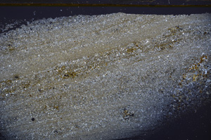 Cross Polarized, E33509