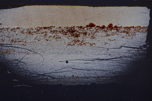 Cross Polarized, E33543