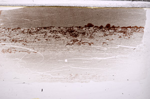 Plane Polarized, E33543