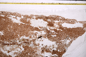 Plane Polarized, E33675