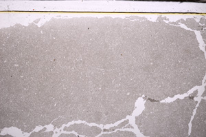 Plane Polarized, E33691