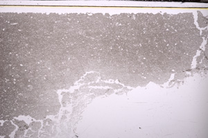 Plane Polarized, E33694