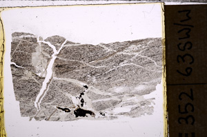 Plane Polarized, E33700