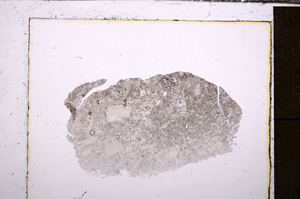 Plane Polarized, E33794