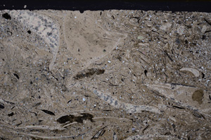 Cross Polarized, E33872