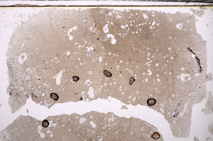 Plane Polarized, E33876