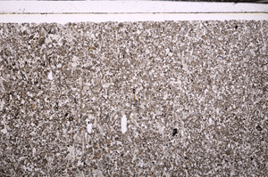 Plane Polarized, E33877