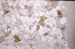 Plane Polarized, E33897