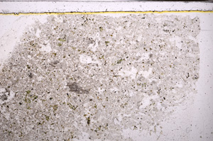 Plane Polarized, E33907