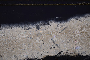 Cross Polarized, E33983